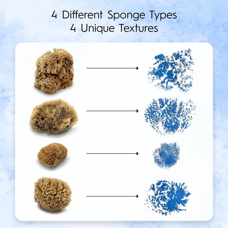 Naroa Artist Natural Sea Sponges for Painting 4 Pack | Unique Tool Set Unbleached | Great for Artists & Children | Acrylic, Watercolor, Marbling, Texturing, Pottery, Ceramics - Image 2
